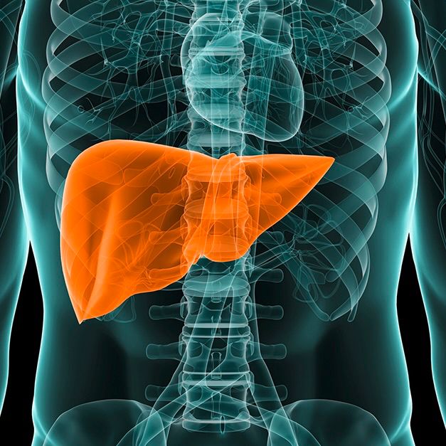 Les Rencontres de l’ablation